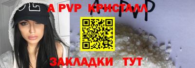 эйфоретик Малгобек