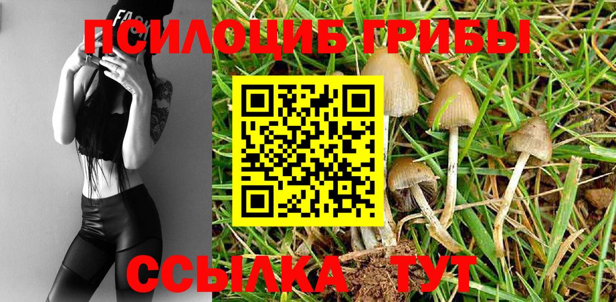 Псилоцибиновые грибы прущие грибы Лыткарино