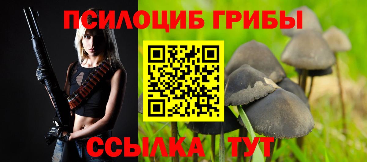 Галлюциногенные грибы MAGIC MUSHROOMS  Псилоцибиновые грибы GOLDEN TEACHER  Вход с VPN  Лыткарино 
